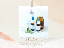 Can You Take Zicam While Pregnant