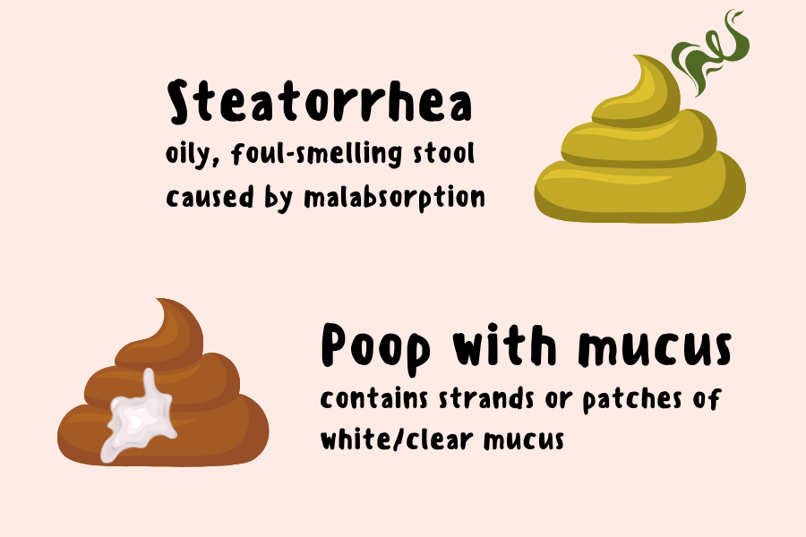 Is It Mucus or Steatorrhea?